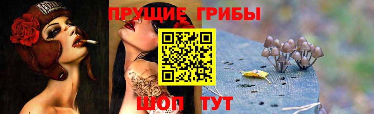 Псилоцибиновые грибы Cubensis Электросталь